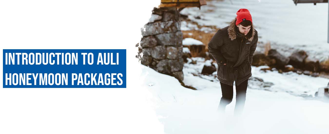 Introduction to Auli Honeymoon Packages