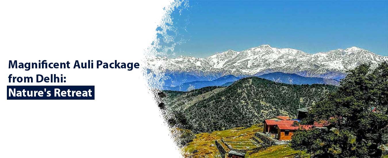 Magnificent Auli Package from Delhi: Nature's Retreat